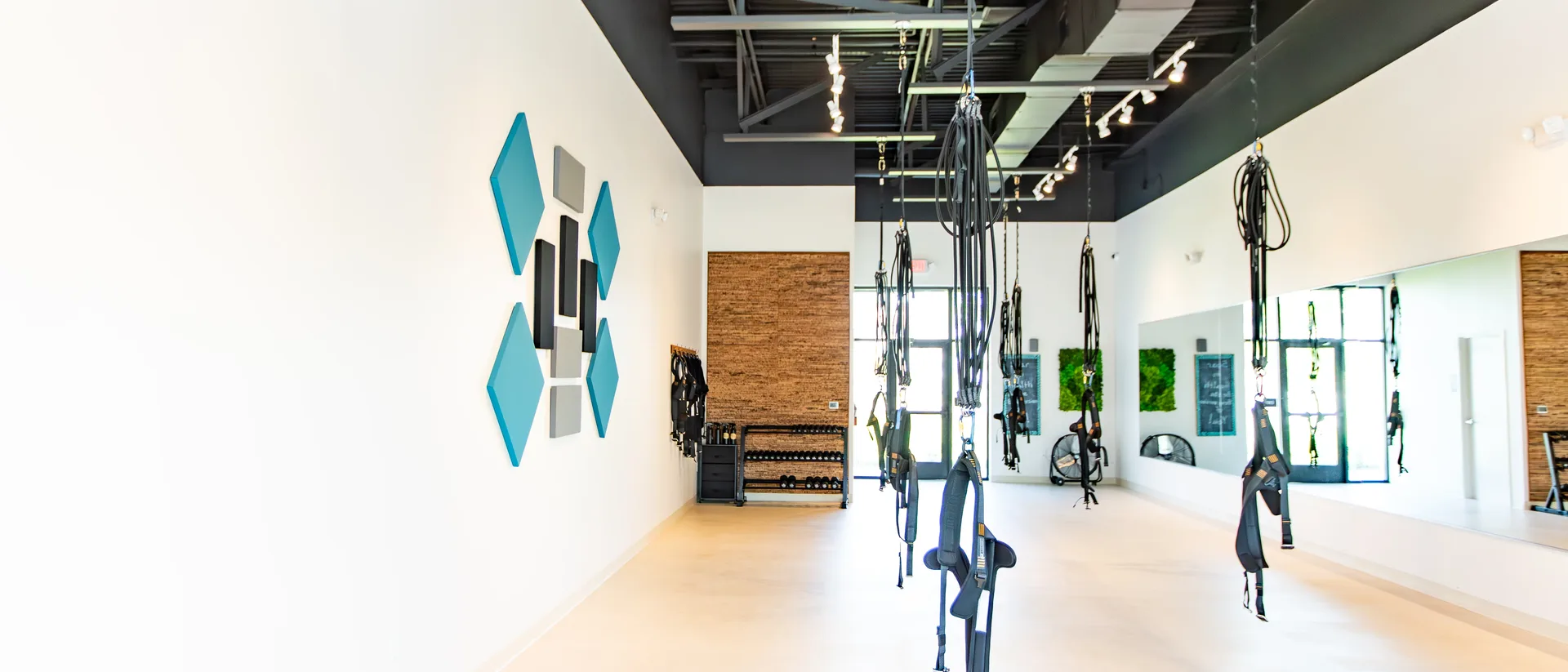 The empty studio floor with bungee harnesses hanging from the ceiling rig and teal wall panels